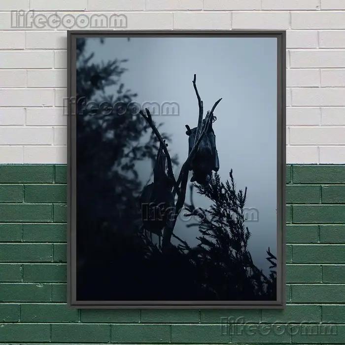 Toile d'art mural le Terrible chauve-souris dans la nuit, photographies de chauve-souris à sang froi