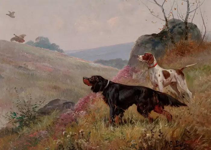 Affiche vintage avec portrait de chien, peinture sur toile de Foxhound, Spaniel, Collie, art mural p