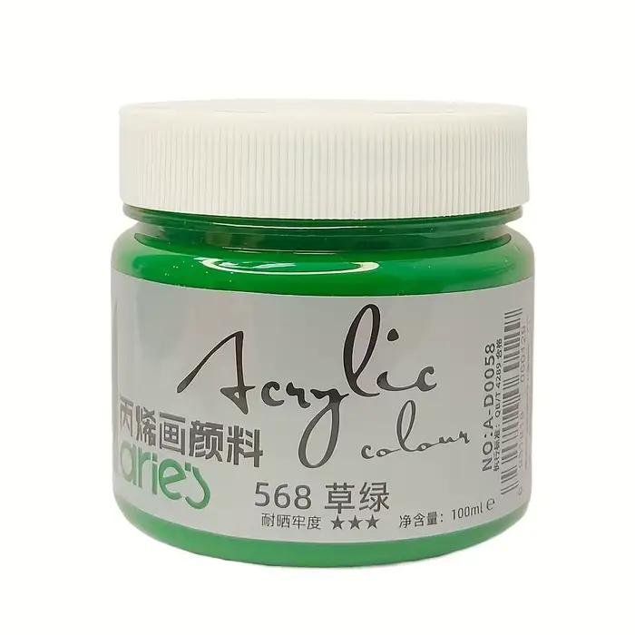 Peinture acrylique 100ml, imperméable et crème solaire, ne se décolore pas, peinture murale, spécial