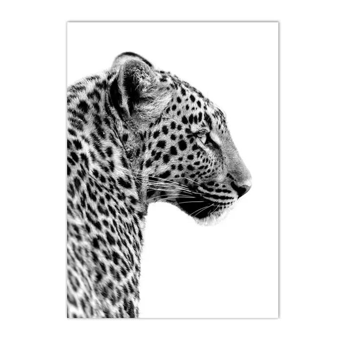 Impressions d'art mural léopard et panthère noir et blanc, peinture sur toile, affiche d'animaux sau