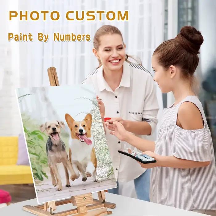 Peinture personnalisée par numéros, livraison directe, bricolage, peinture acrylique par numéros, Ph