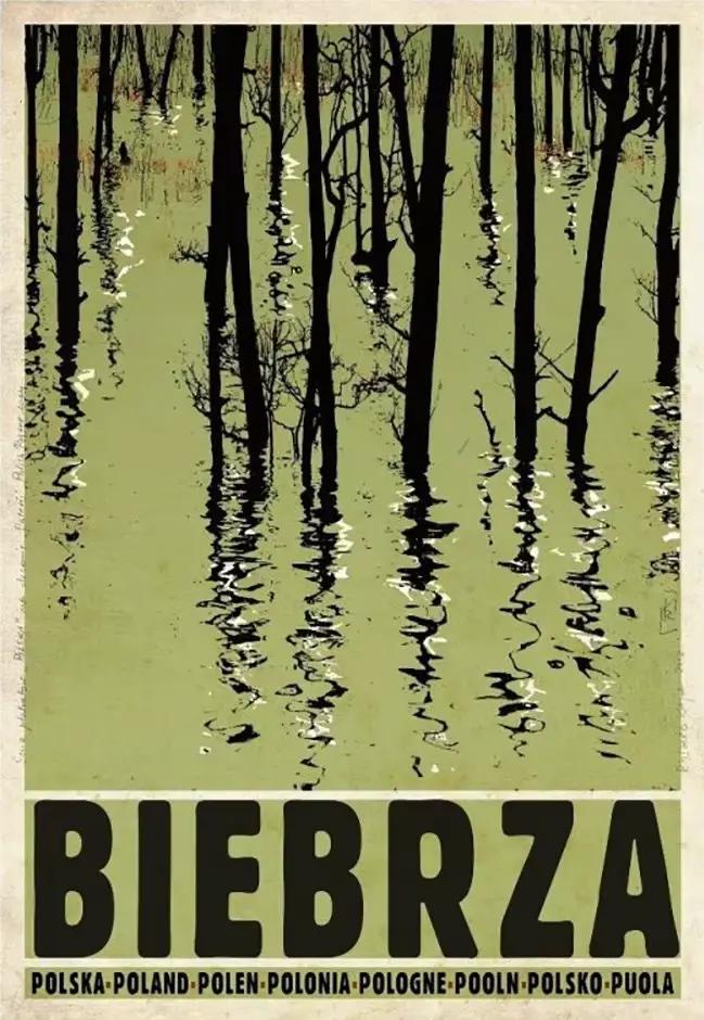 Affiche et impression sur toile rétro originale de Pologne, représentant les paysages de Podhale et 