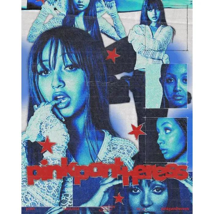 Pop chanteur rose p-panthèreesse Vintage millénaire musique esthétique affiche toile peinture mur Ar