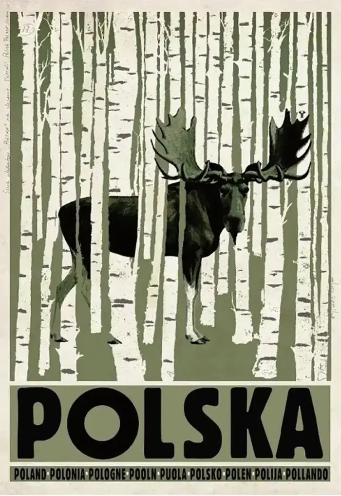 Affiche et impression sur toile rétro originale de Pologne, représentant les paysages de Podhale et 