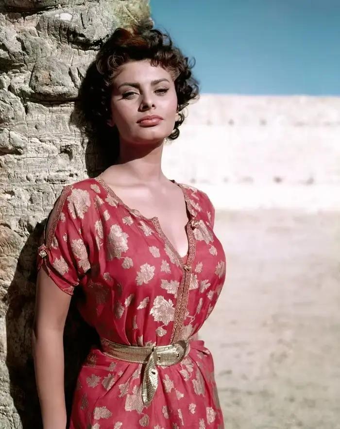 Sophia loren – affiche d'art sur toile, impression d'image murale, affiches de décoration de chambre