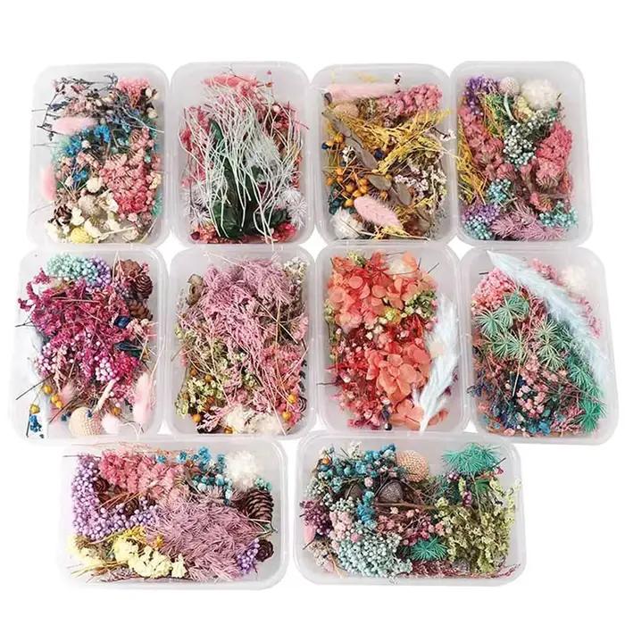 1 boîte de fleurs séchées pour décoration de fête, Festival, résine époxy, véritable plante sèche, c
