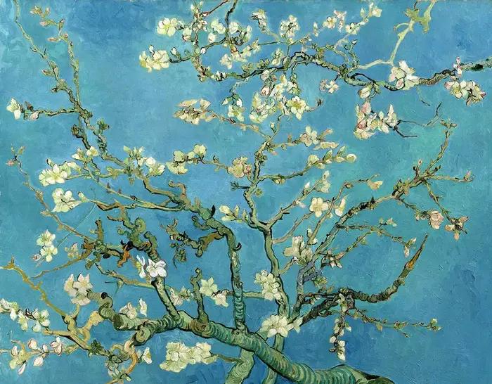 Célèbre artiste Van Gogh Monet peinture ciel étoilé Iris fleur toile affiche impression mur Art phot