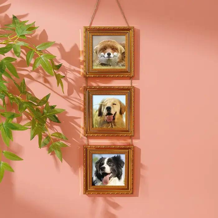 Trois cadres photo vintage en plastique, affiche montrant un animal de compagnie, cadeau souvenir ca