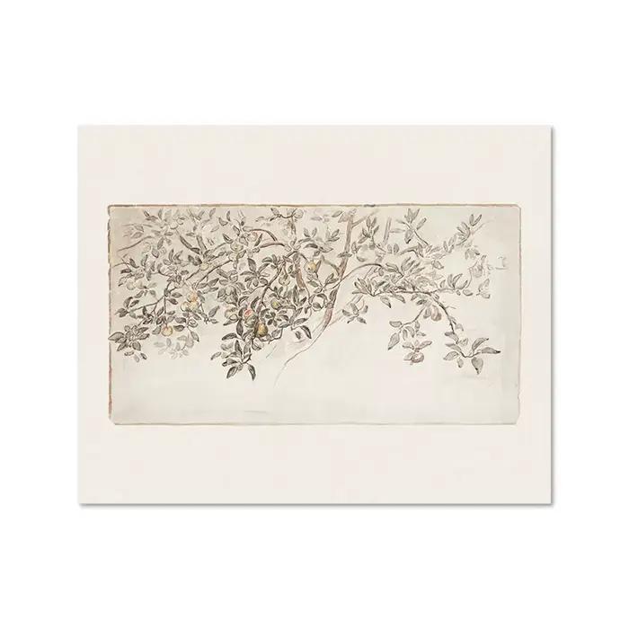 Vintage pommier croquis imprime ferme cuisine mur photo Antique botanique dessin toile peinture rust