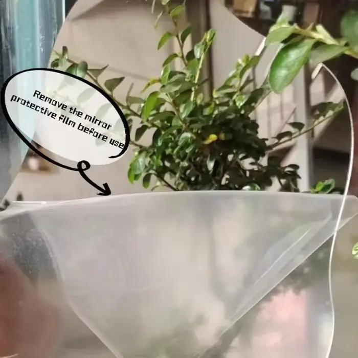 Miroir décoratif irrégulier INS
