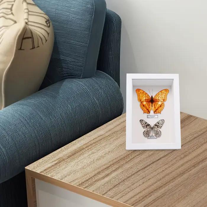 Cadre de boîte à ombre en bois avec fenêtre en verre