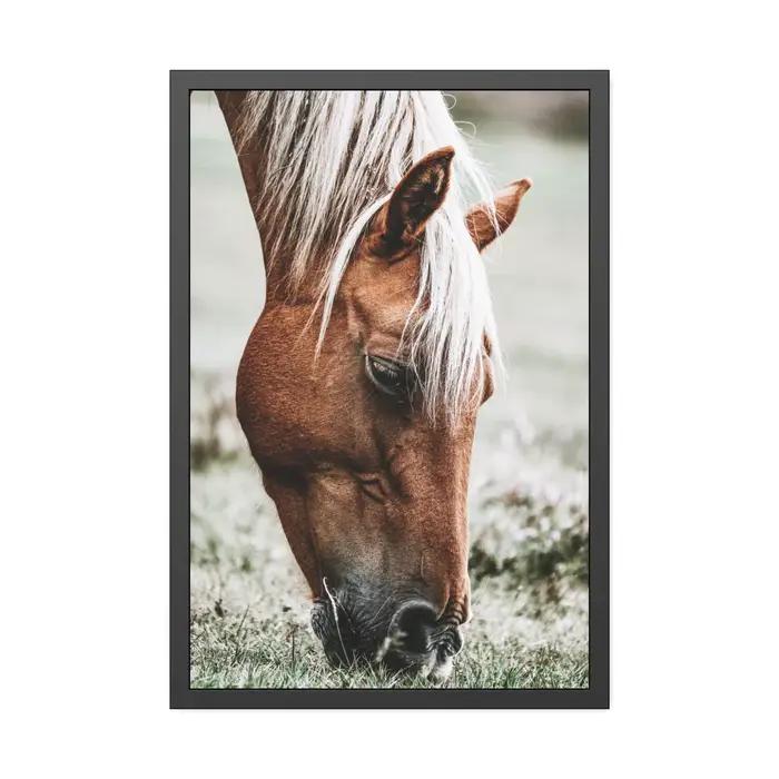 Art moderne Animal prairie cheval noir et blanc photo maison chambre décoration toile peinture Cuadros