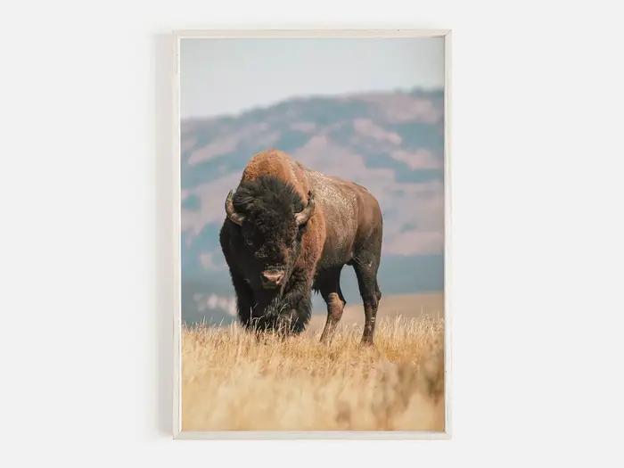 Peinture sur toile rustique pour la décoration intérieure