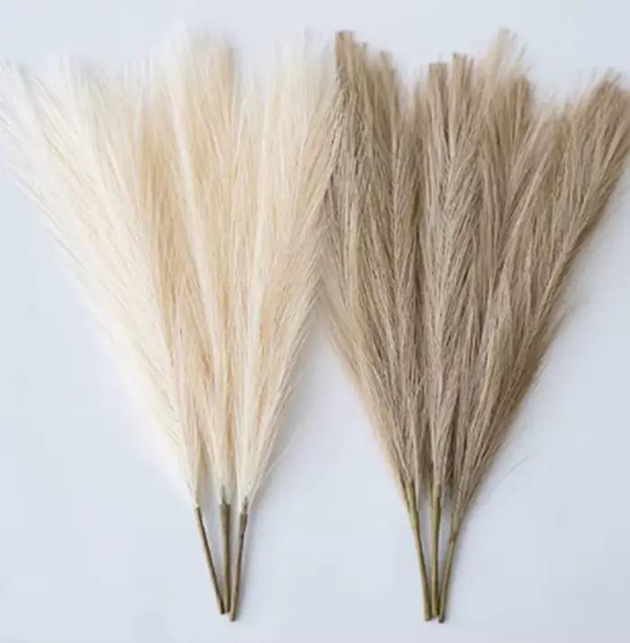 Pampas herbe mer fleur décor maison chambre faux