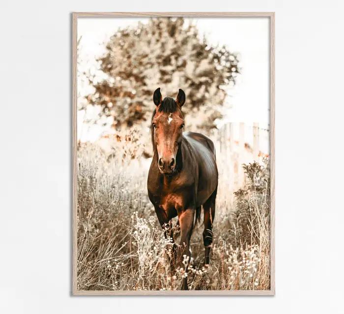 Art moderne Animal prairie cheval noir et blanc photo maison chambre décoration toile peinture Cuadros