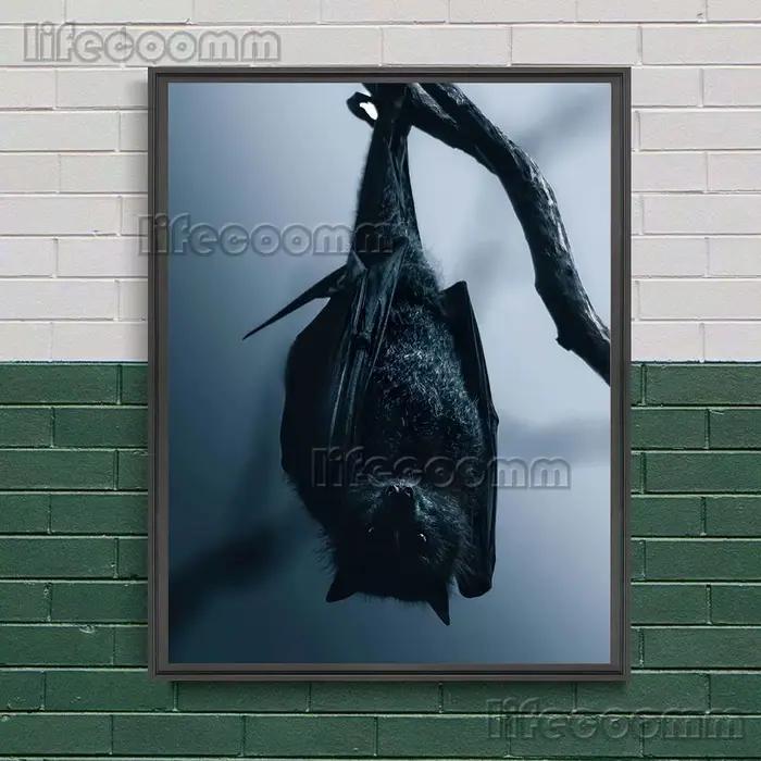 Toile d'art mural le Terrible chauve-souris dans la nuit