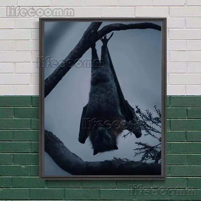 Toile d'art mural le Terrible chauve-souris dans la nuit