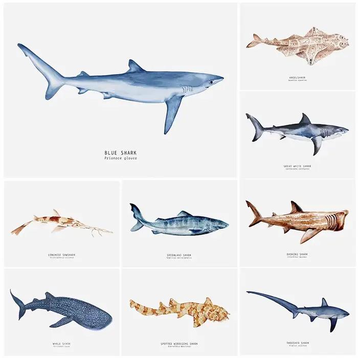 Affiches de requins modernes