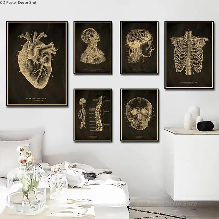 Affiche de tableau noir squelette anatomique