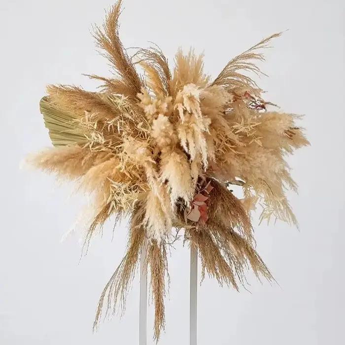Herbe de la Pampa élégante et raffinée pour la décoration murale