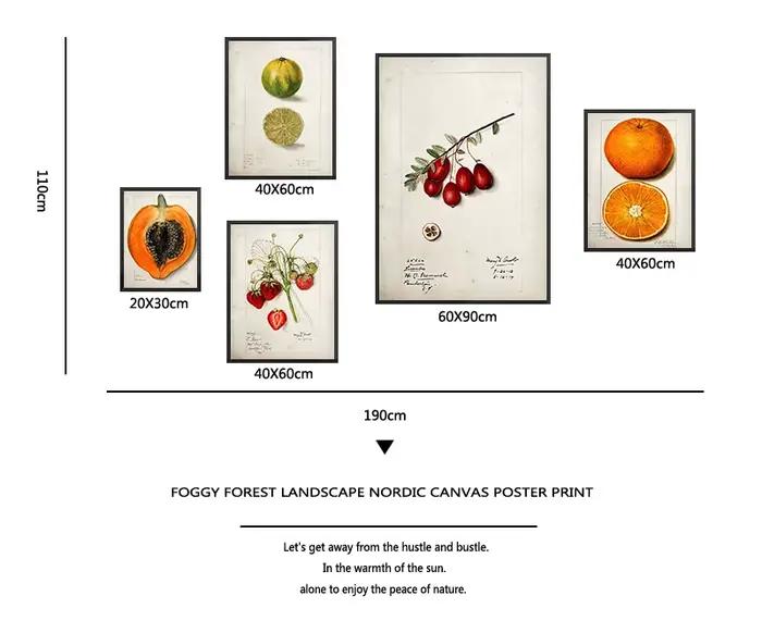 Affiche de cuisine de fruits vintage