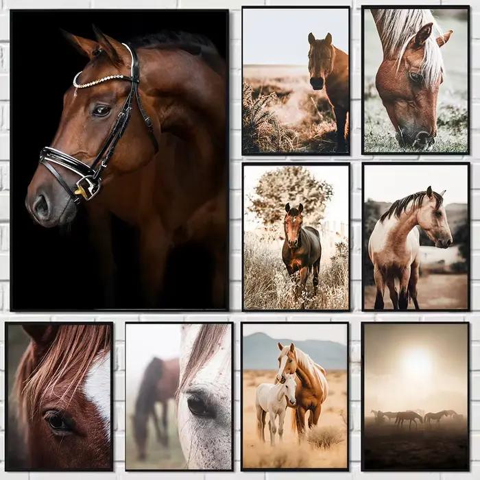 Art moderne Animal prairie cheval noir et blanc photo maison chambre décoration toile peinture Cuadros