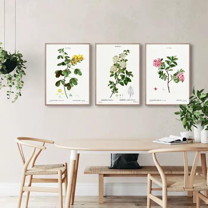 Vintage Botanical Studies Canvas Painting