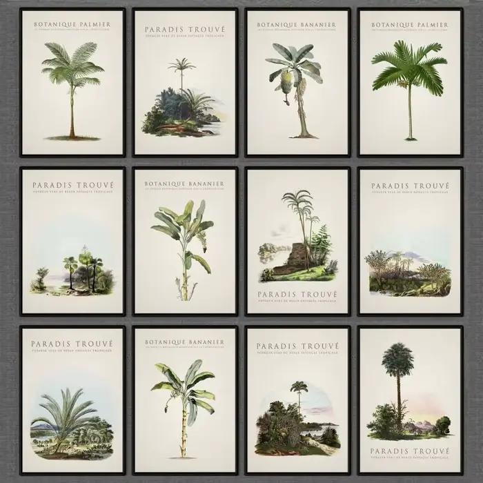 Affiche de palmiers et bananiers tropicaux