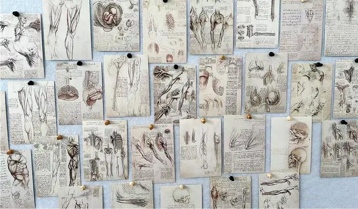 30 feuilles/Lot Leonardo Da Vinci croquis peinture carte postale Vintage Art