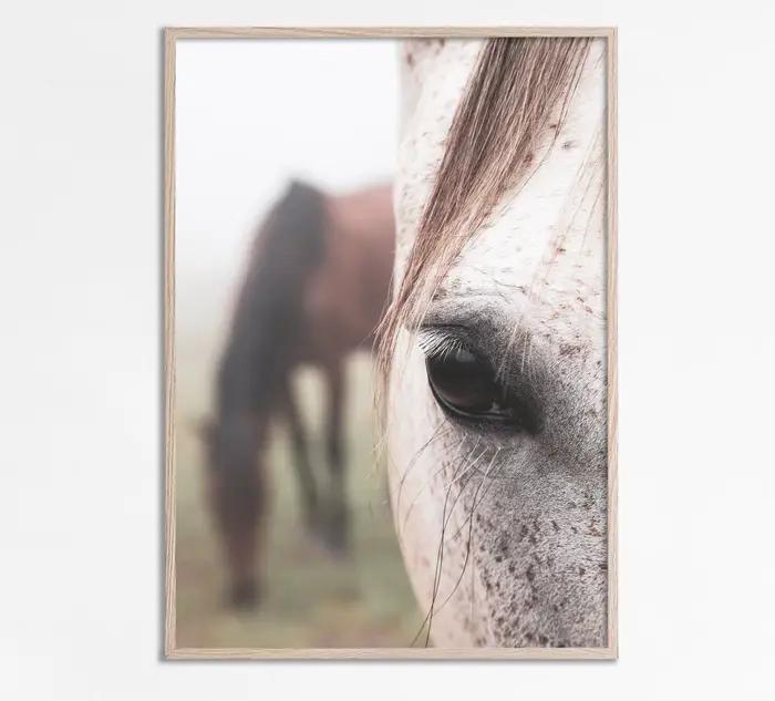 Art moderne Animal prairie cheval noir et blanc photo maison chambre décoration toile peinture Cuadros