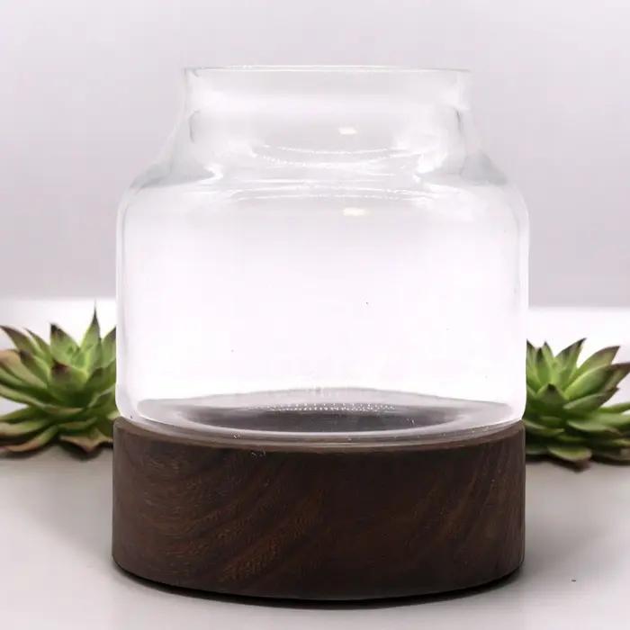 Small Shaped Terarium on Dark Tung Wood - 12x13cm
