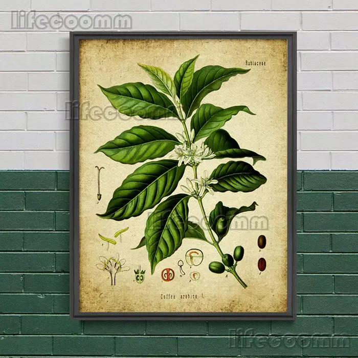 Peinture sur toile d'art mural vintage, fleur de magnolia, rose, fougère, houblon, botanique antique