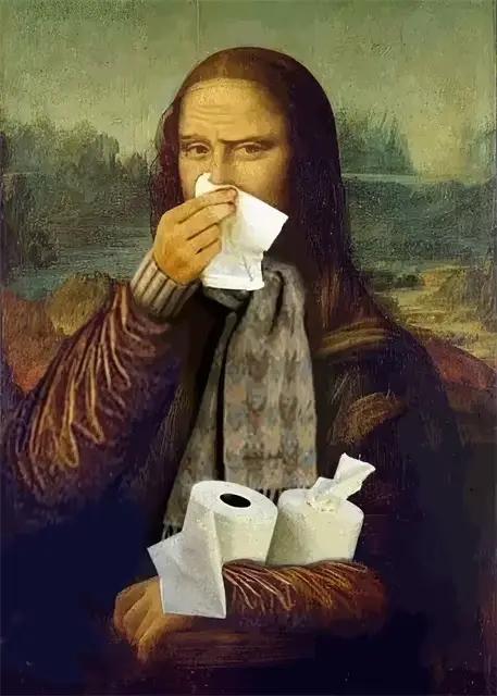 Affiches sur toile de salle de bains, Portrait drôle, Mona Lisa, mème de salle de bains, toilettes a