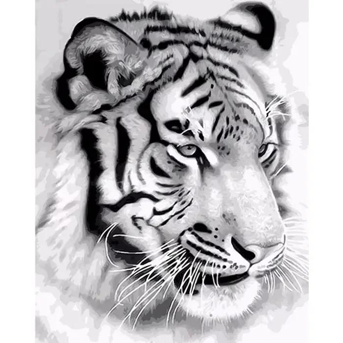 Peinture par numéros bricolage tête de tigre noir et blanc, Kit de peinture par numéros, cadeau pour