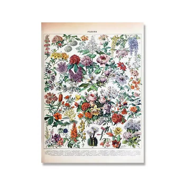 Affiches et imprimés Vintage d'encyclopédie Adolphe Millot, champignons botaniques, herbes, fleurs,