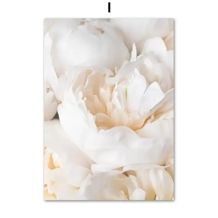 Affiches de peinture florale pour salon, toile murale, rose et pivoines en fleurs, fleur beige et bl