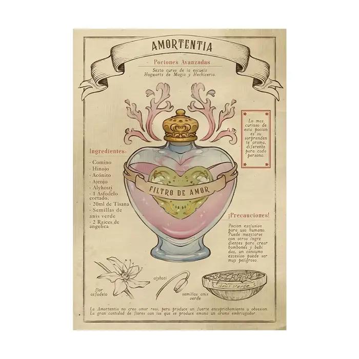 3 pièces Harry Potter Potions Art imprime Potions Fuling Potions enchanteresses affiches rétro Poudl