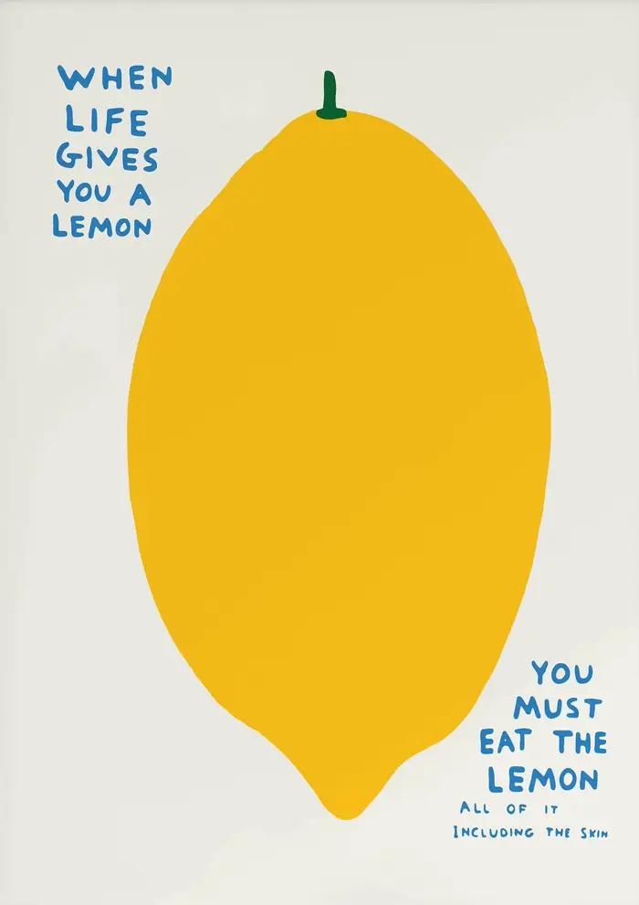 David Shrigley – affiche humoristique classique, toile imprimée, images de maison pour salon, chambr