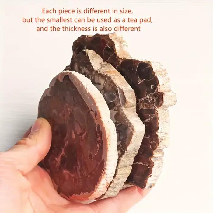 Tranche de bois pétrifié naturel avec motifs d'anneaux d'arbre pour la décoration intérieure, l'éner