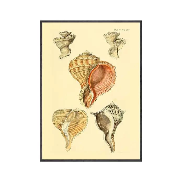 Affiches et tableau Vintage de plage de bord de mer, imprimés de coquillages, décoration de maison