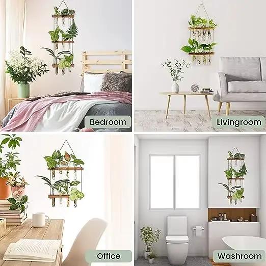 Tube à essai mural, Vase pour plantes de jardinière en verre avec support en bois et corde à cordes,