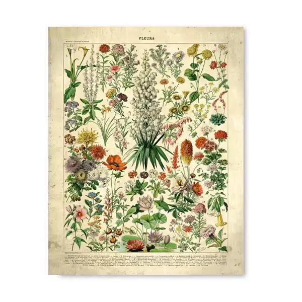 Affiches et imprimés Vintage de fleurs françaises, peinture sur toile d'art mural rétro botanique, i