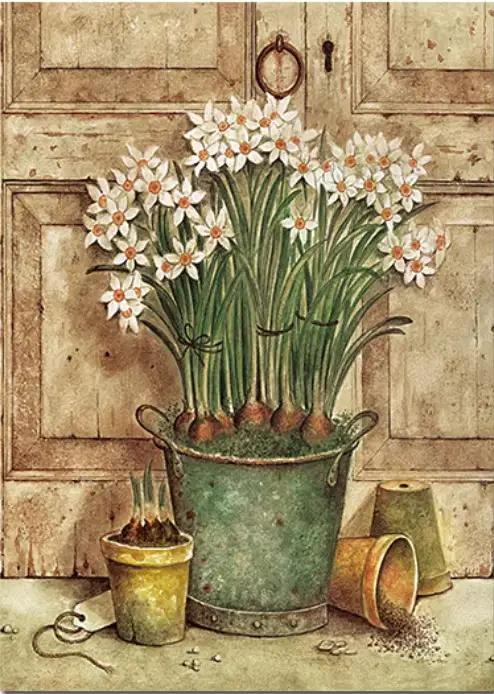 Affiches et College de plantes et de fleurs en pot rétro européens, toile pastorale, coutumes vintag