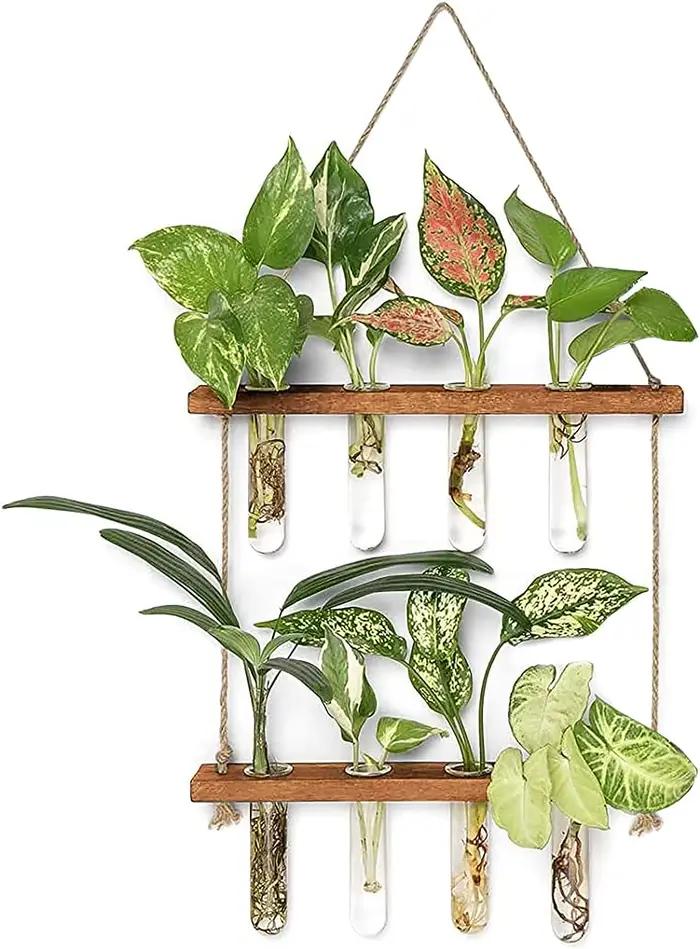 Tube à essai mural, Vase pour plantes de jardinière en verre avec support en bois et corde à cordes,