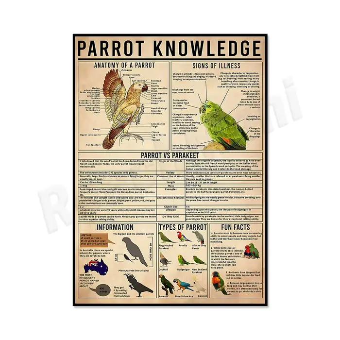 Affiche du connaissance du perroquet, anatomie du perroquet, types de perroquets, perroquets contre