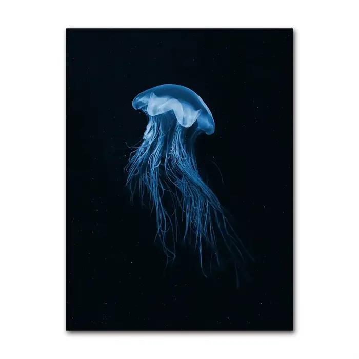 Affiche d'art minimaliste rétro sur toile, représentant des animaux marins (Cyanea, méduse, calmar,