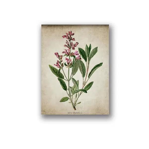 Affiche et imprimés sur toile d'art d'herbes Vintage, peinture sur toile de thym de sauge de romarin