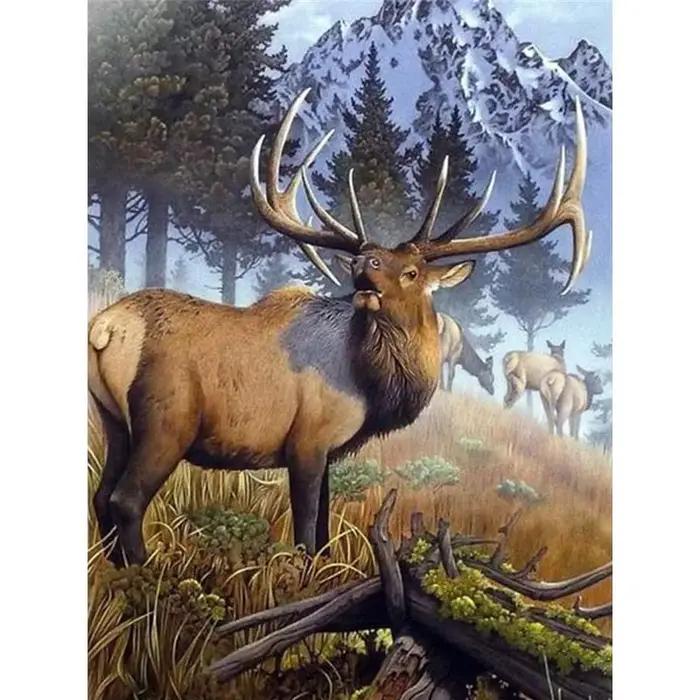 Gatyztoire – peinture à l'huile de cerfs numérotés, dessin sur toile, cadeau artistique peint à la m