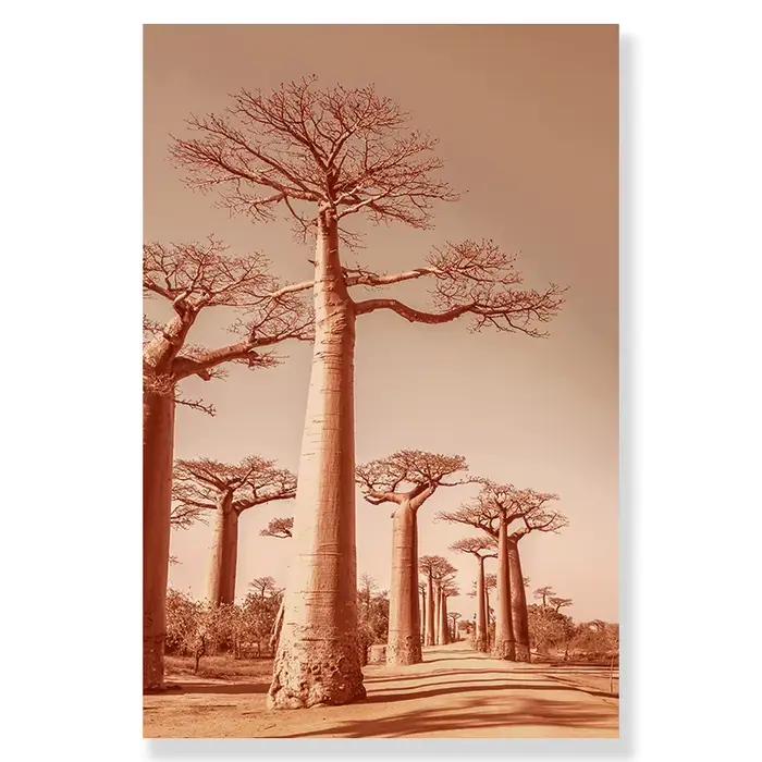 Affiche murale avec image d'animaux, girafe, éléphant, lever du soleil, arbre de blé, falaise, montg
