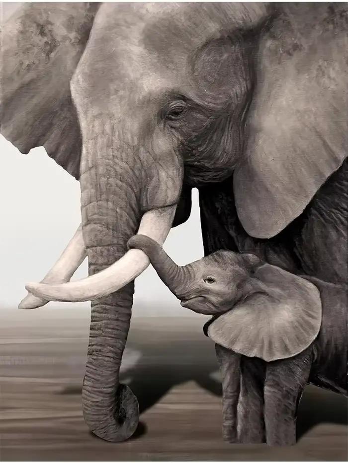 Affiches de famille d'éléphant quelque part, peinture sur toile, animal, père, mère, bébé, amour, ar